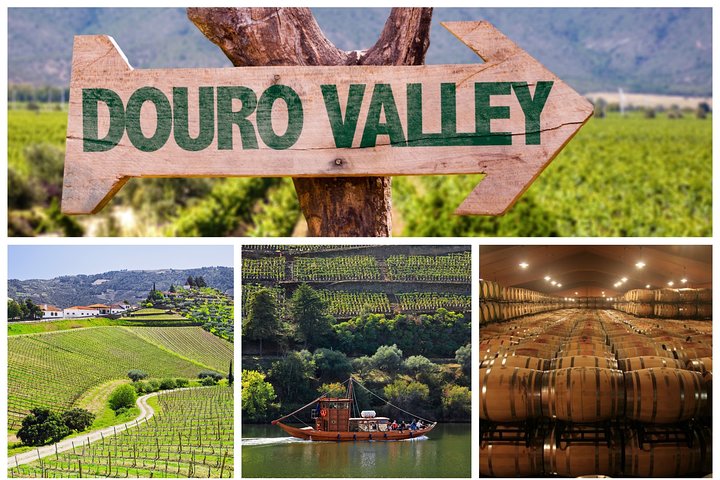 Douro Valley Tour: Wine Tasting, Cruise and Lunch from Porto, photo 2