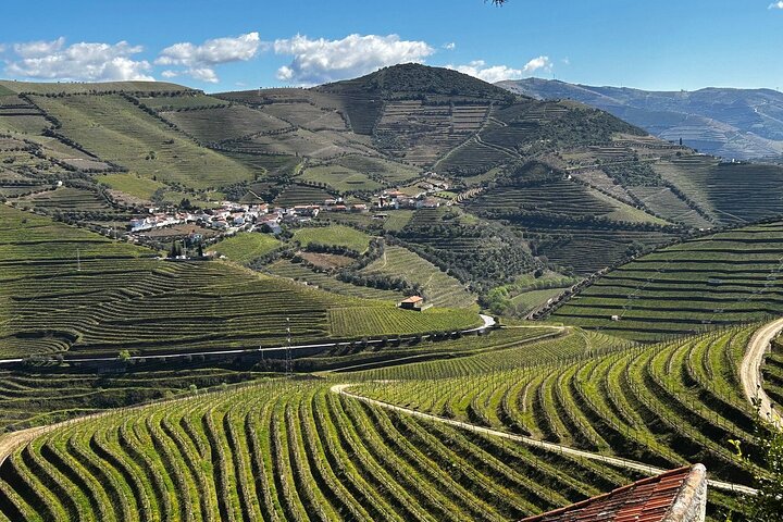 Douro Valley Half-Day Winery & Lunch Tour From Porto, photo 3