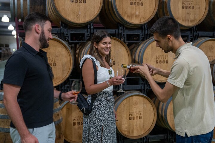 Douro Valley Small Group Tour from Porto: Wineries Lunch & Cruise, photo 3
