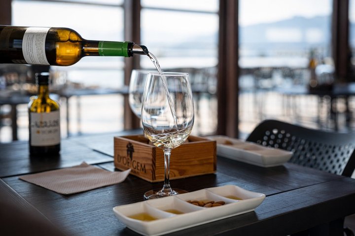 Douro Valley Wine Tour with Amarante: 2 Wineries, Lunch & Cruise, photo 5