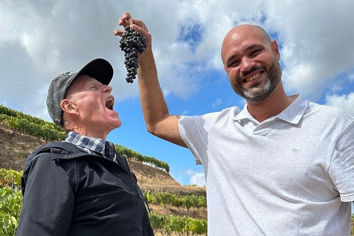 Douro Valley Small Group Premium Wine Tour Lunch and Private Boat, photo 2